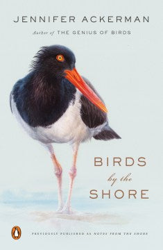 Birds by the Shore - MPHOnline.com