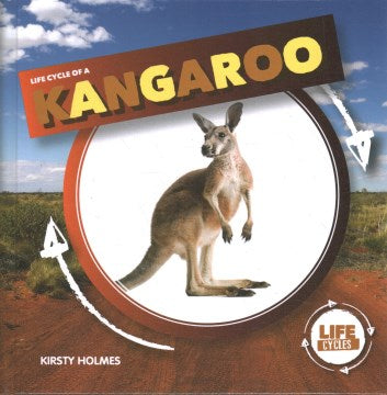 Life Cycle of a Kangaroo - MPHOnline.com