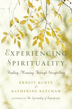 Experiencing Spirituality - Finding Meaning Through Storytelling  (Reprint) - MPHOnline.com