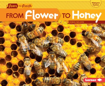 From Flower to Honey - MPHOnline.com