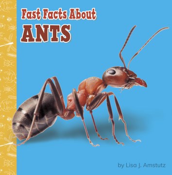 Fast Facts About Ants - MPHOnline.com