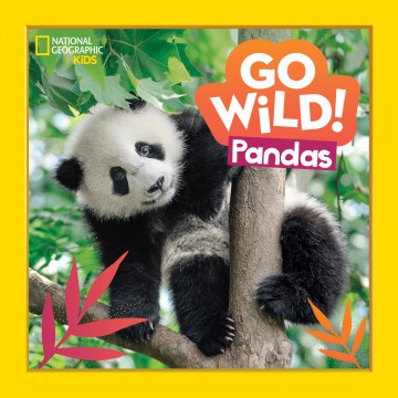 Natgeo Kids Go Wild: Pandas - MPHOnline.com