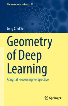 Geometry of Deep Learning - MPHOnline.com