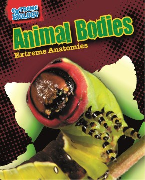 Animal Bodies - MPHOnline.com