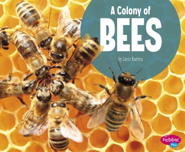 A Colony of Bees - MPHOnline.com