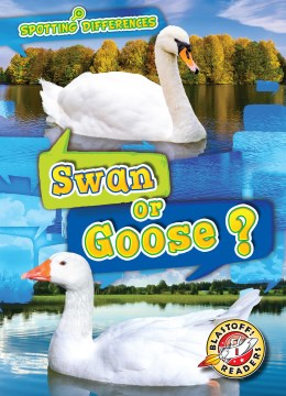 Swan or Goose? - MPHOnline.com