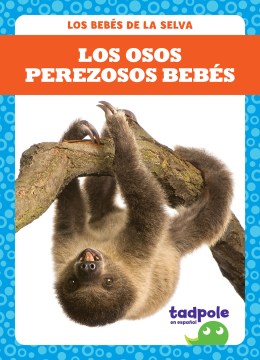 Los osos perezosos beb?s/ Sloth Babies - MPHOnline.com