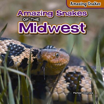 Amazing Snakes of the Midwest - MPHOnline.com