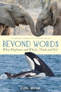 Beyond Words - MPHOnline.com