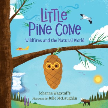 Little Pine Cone - MPHOnline.com