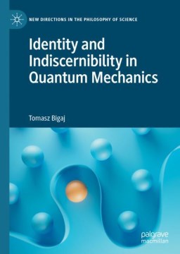 Identity and Indiscernibility in Quantum Mechanics - MPHOnline.com