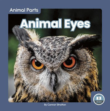 Animal Eyes - MPHOnline.com