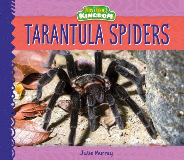 Tarantula Spiders - MPHOnline.com