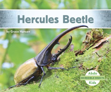 Hercules Beetle - MPHOnline.com