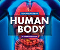 Looking Inside the Human Body - MPHOnline.com