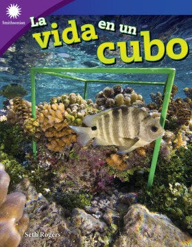 La vida en un cubo / Life in a Cube - MPHOnline.com