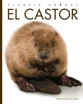 El castor - MPHOnline.com