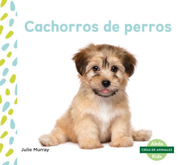 Cachorros de perros/ Puppies - MPHOnline.com