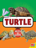 Turtle - MPHOnline.com