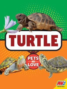 Turtle - MPHOnline.com