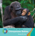 Chimpanzee Babies - MPHOnline.com