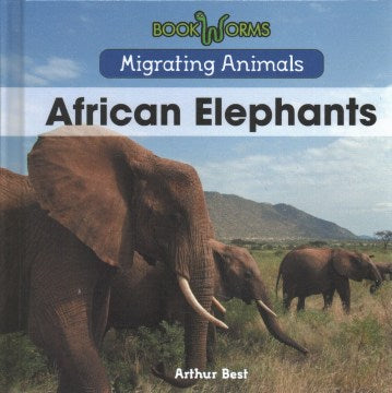 African Elephants - MPHOnline.com