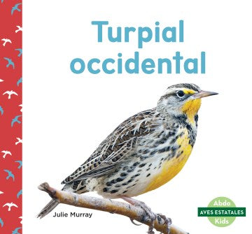 Turpial occidental / Western Meadowlarks - MPHOnline.com