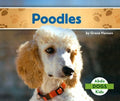 Poodles - MPHOnline.com