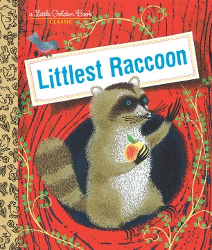 Littlest Raccoon - MPHOnline.com