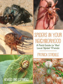 Spiders in Your Neighborhood - MPHOnline.com