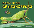 Zoom in on Grasshoppers - MPHOnline.com