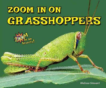 Zoom in on Grasshoppers - MPHOnline.com