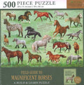 Field Guide to Magnificent Horses - MPHOnline.com