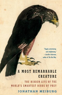 Most Remarkable Creature (Paperback) - MPHOnline.com