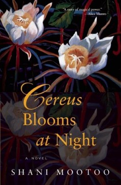 Cereus Blooms at Night - MPHOnline.com