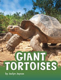 Giant Tortoises - MPHOnline.com