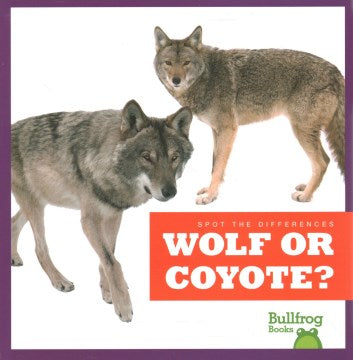 Wolf or Coyote? - MPHOnline.com