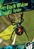 Black Widow Spider - MPHOnline.com