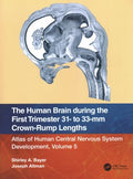 The Human Brain During the First Trimester 31- to 33-MM Crown-Rump Lengths - MPHOnline.com