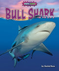 Bull Shark - MPHOnline.com