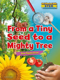 From a Tiny Seed to a Mighty Tree - MPHOnline.com