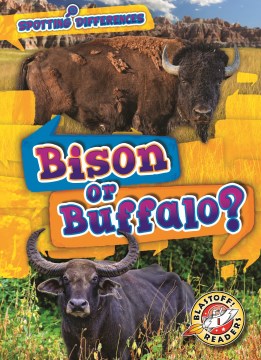 Bison or Buffalo? - MPHOnline.com