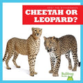 Cheetah or Leopard? - MPHOnline.com