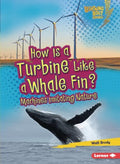 How Is a Turbine Like a Whale Fin? - MPHOnline.com