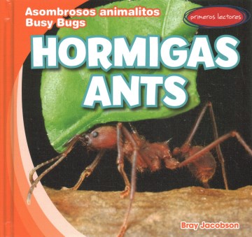 Hormigas / Ants - MPHOnline.com