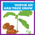 Watch an Oak Tree Grow - MPHOnline.com