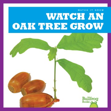 Watch an Oak Tree Grow - MPHOnline.com