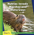 Nutrias Invade Marshes and Waterways - MPHOnline.com