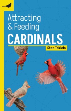 Attracting & Feeding Cardinals - MPHOnline.com