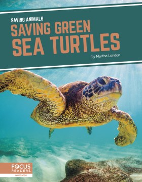 Saving Green Sea Turtles - MPHOnline.com